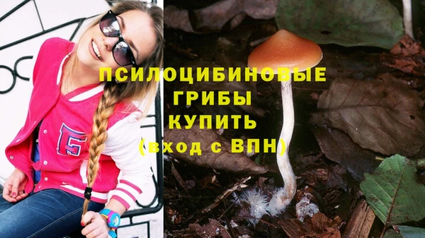тгк Усинск