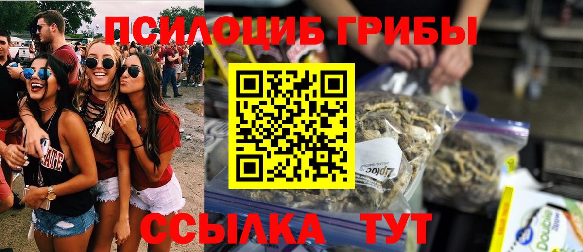 Псилоцибиновые грибы прущие грибы Фурманов