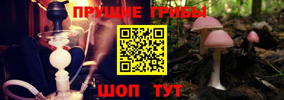 Галлюциногенные грибы Magic Shrooms Фурманов